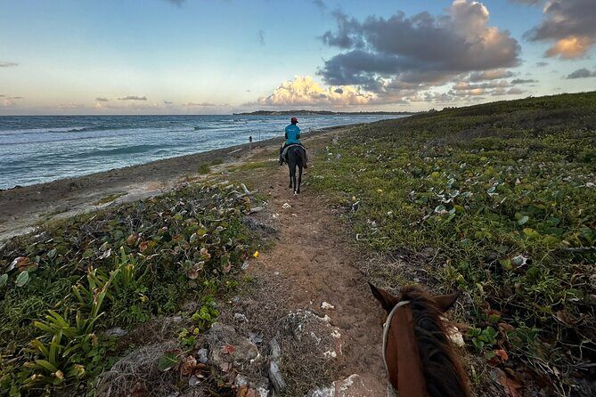 Sunset Horseback Ride at Macao Beach & Forest with Transfers - Practical Tips for Enjoying the Tour