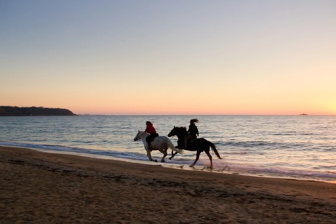 Sunset Horseback Riding in Puerto Plata - Whats Included in Your Package