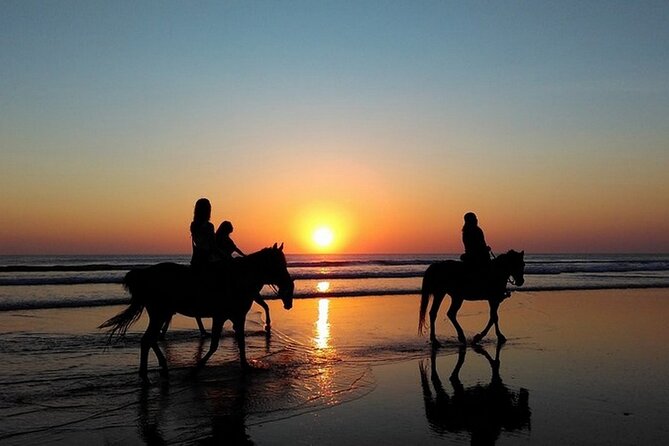 Sunset Horseback Riding in Puerto Plata - Cancellation and Booking Policies