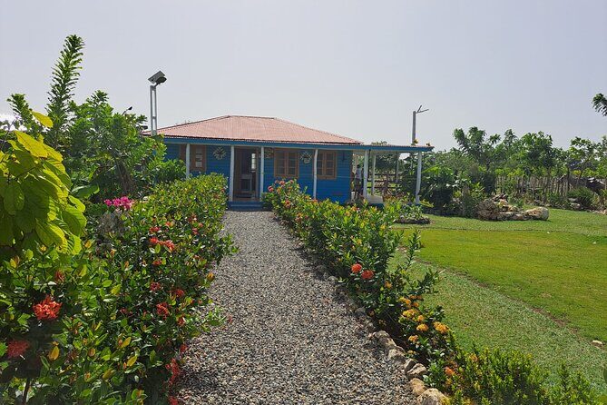 Sunset Horseback Riding Tour in Punta Cana (Private Option) - Exploring the Sunset Horseback Riding Experience in Punta Cana