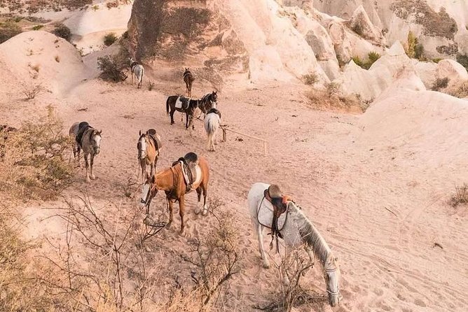 Sunset Horsebackriding Tour Through the Valleys of Cappadocia - Tips for an Enjoyable Ride