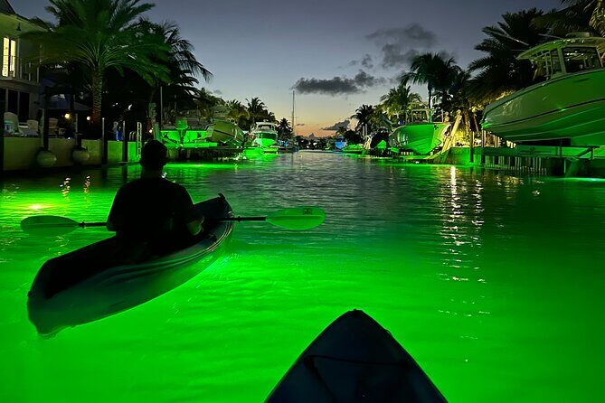 Sunset Kayak Adventure with Enchanting Underwater Lights - What the Reviews Say