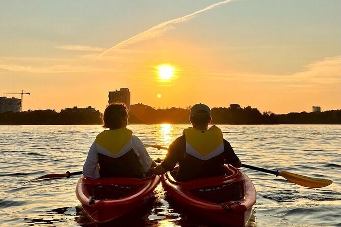 Sunset Kayak Tour in Downtown Ottawa and Gatineau - The Experience Provider