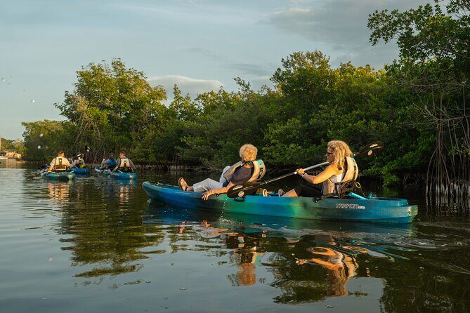 Sunset Kayak Tour in the Mangrove Lagoon, St Thomas - An In-Depth Look at the Sunset Kayak Experience