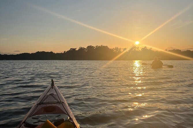 Sunset Kayak Tour in the Stockholm Archipelago + Swedish Fika - An Elegant Balance of Nature and Culture