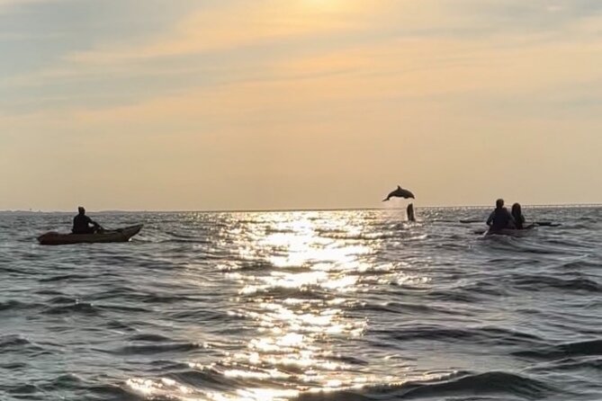 Sunset Kayaking With Dolphins - Appreciating the Sunset Views