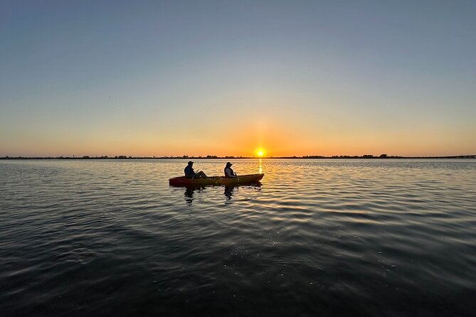 Sunset Kayaking With Dolphins - What to Expect on the Tour