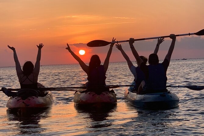 Sunset Kayaking With Dolphins - Responsible Ecotourism Practices