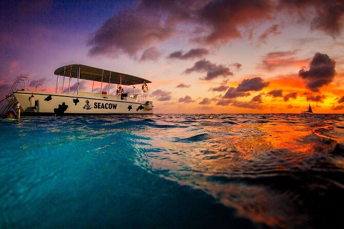 Sunset- night snorkel trip - What Makes This Snorkel Tour Special?