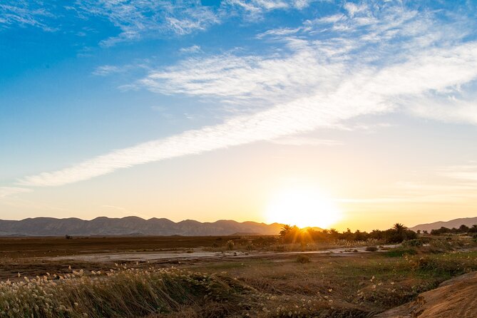 Sunset Oasis Desert Experience in El Gouna and Hurghada - Booking Information