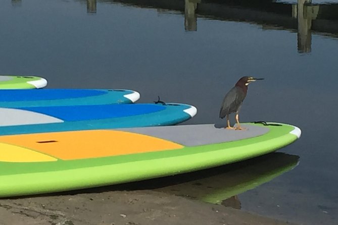 Sunset Paddleboard Excursion Review - Handling Inclement Weather