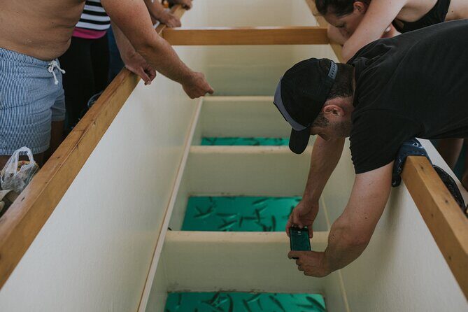 Sunset panorama & swimming with a fishes - Value and Considerations