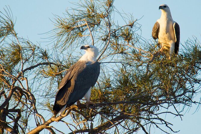 Sunset River Cruise in Kalbarri - Who Should Consider This Experience?
