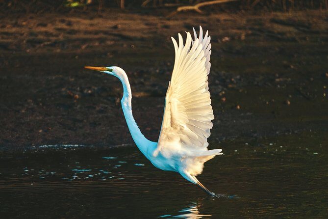 Sunset River Cruise near Byron Bay - Who Is This Tour Best For?