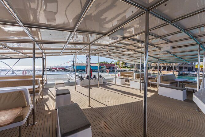 Sunset Sailing Cruise with premium drinks and bites - Review Highlights and Authentic Perspectives