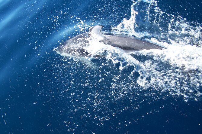 Sunset sailing trip on the Lagoon of Tahiti - An In-Depth Look at the Tour