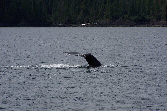 Sunset sailing trip on the Lagoon of Tahiti - Who Will Love This Tour?