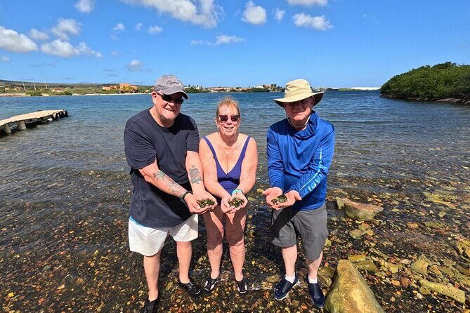 Sunset Sea Glass Island Kayak Tour - An Overview of the Tour Experience