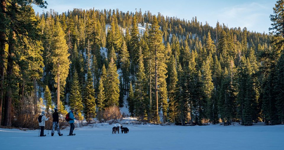 Sunset Snowshoe Guided Hike - Booking Details