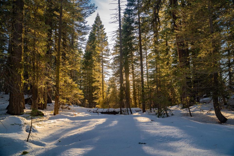 Sunset Snowshoe Guided Hike - Preparing for the Hike