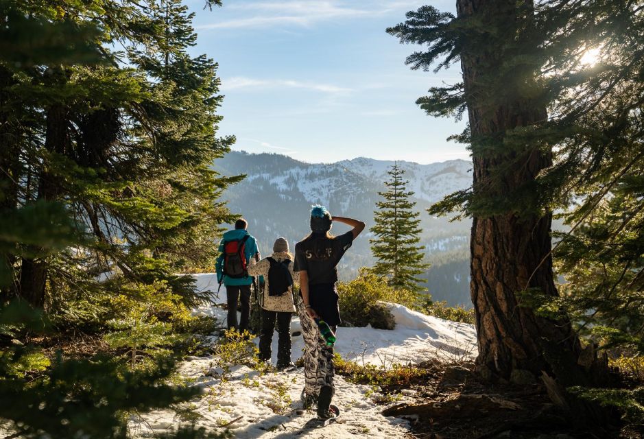 Sunset Snowshoe Guided Hike - Winter Wonderland Awaits