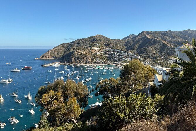 Sunset Summit Catalina Island Shared Tour - FAQ