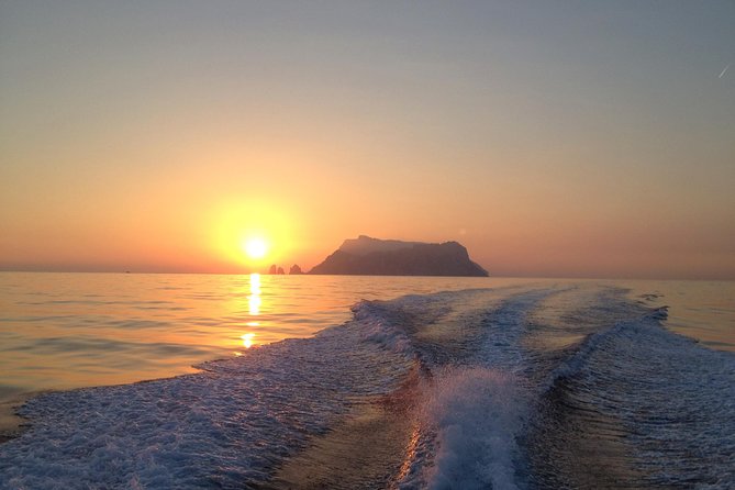 Sunset & Supper: Sorrento Cruise With Dinner Stop - Pricing and Booking Details