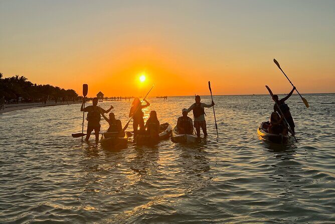 Sunset toast and bioluminescence in clear kayak - Setting the Scene: What to Expect on This Night Journey