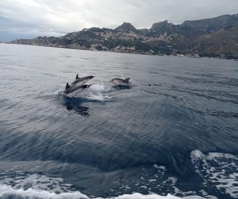 Sunset Tour in Search of Dolphins With Aperitif - Anticipating the Dolphin Sighting