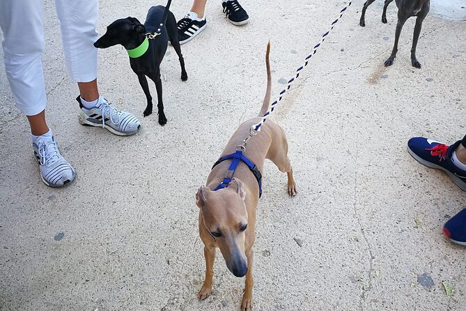 Sunset Tour of the Valley of the Temples - Inclusions and Exclusions