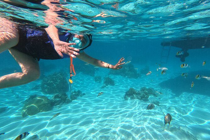 Sunset tour on a unique polynesian sailing outrigger - FAQ