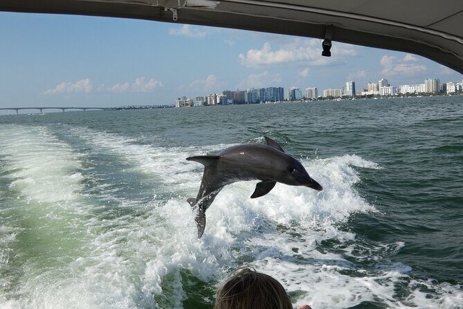 Sunset Tour - Private Party up to 6 - An In-Depth Look at the Sarasota Sunset Boat Tour  