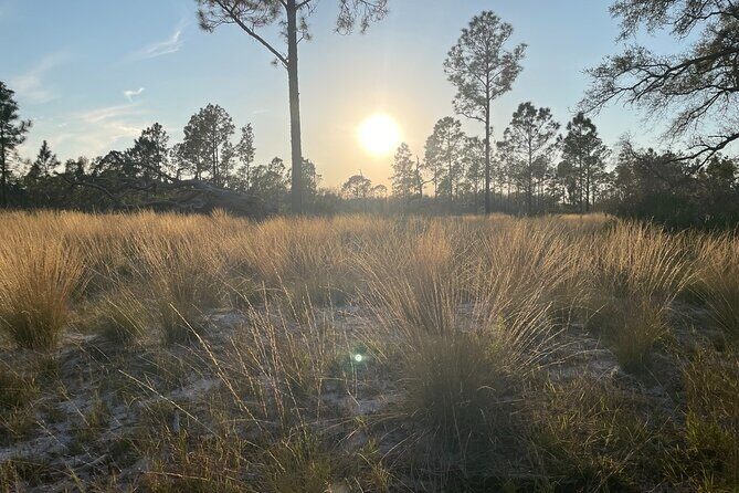 Sunset Trail Ride and Campfire Experience at Rock Springs - What’s Included and What You Should Know