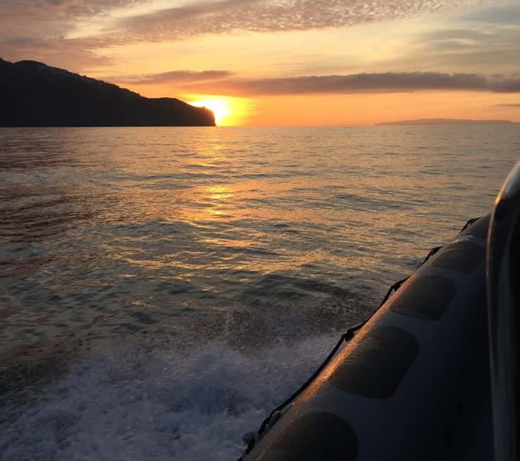 Sunset Trip + Dolphin & Whale Watching - Speed Boat - Practical Tips for Travelers