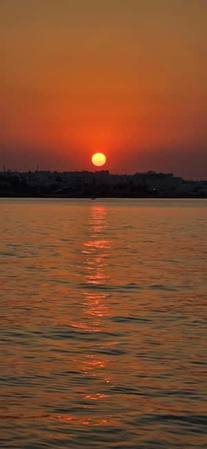 Sunset trip with swim stop at blue lagoon and turtles bay. - Who Will Love This Cruise?