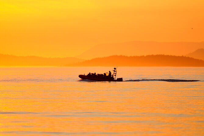 Sunset Whale and Wildlife Adventure in Cowichan Bay - What You Can Expect: A Detailed Breakdown