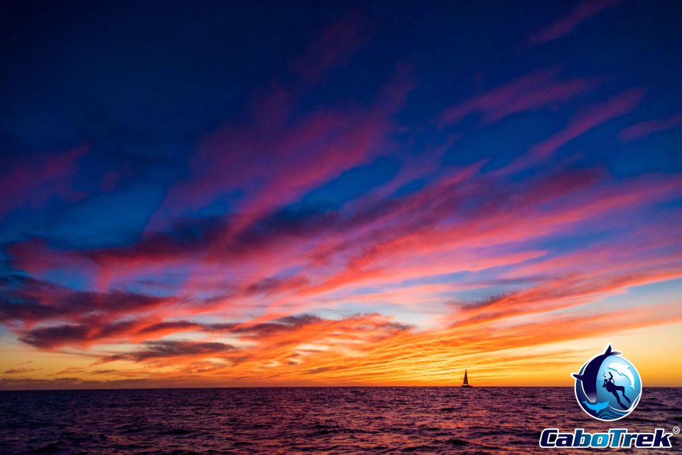Sunset Whale Watching Cruise in Cabo San Lucas - Itinerary and Starting Location