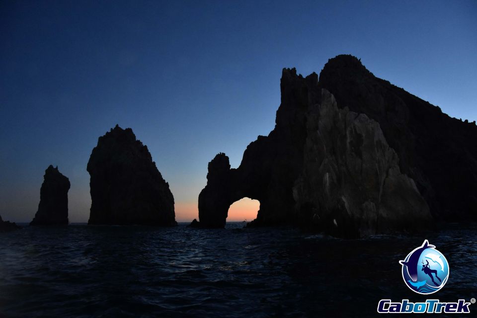Sunset Whale Watching Cruise in Cabo San Lucas - About the Marine Biologist Guide