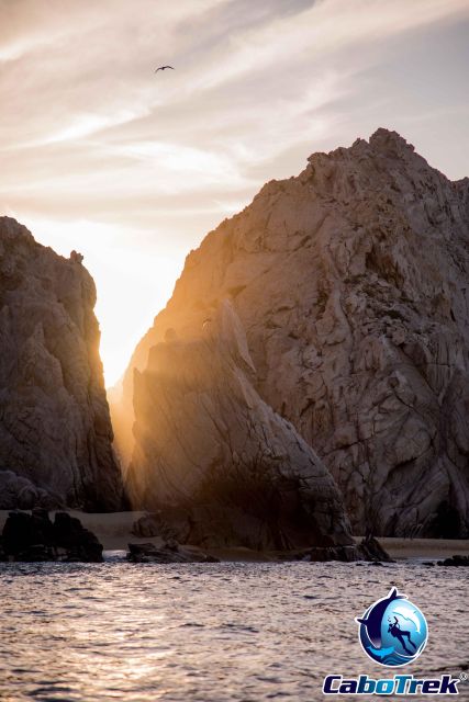 Sunset Whale Watching Cruise in Cabo San Lucas - Duration and Price of the Cruise