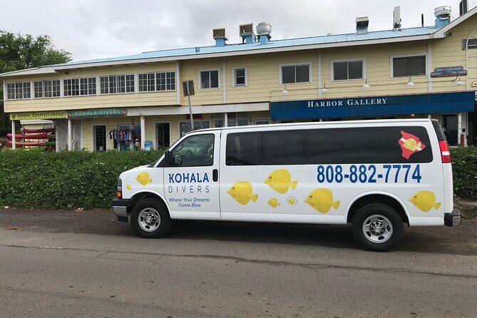 Sunset Whale Watching Shared Activity - Why This Tour Offers Great Value