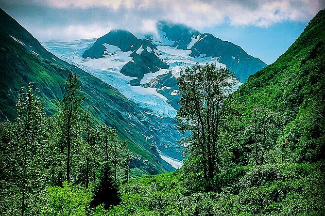 Sunset Wilderness Wildlife and Glacier Experience - What You Can Expect from the Itinerary