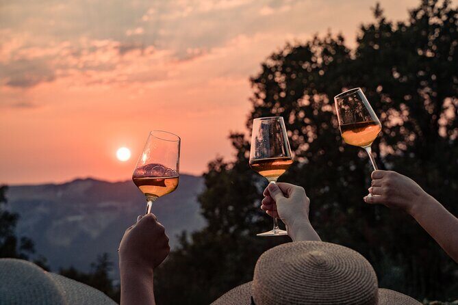 Sunset wine tasting in vineyard - An Introduction to the Experience