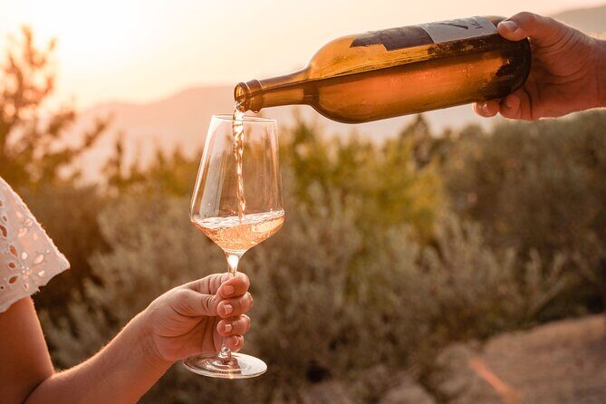Sunset wine tasting in vineyard - Why This Tour Offers Great Value