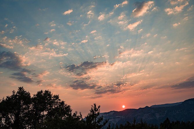 Sunset wine tasting in vineyard - The Sum Up