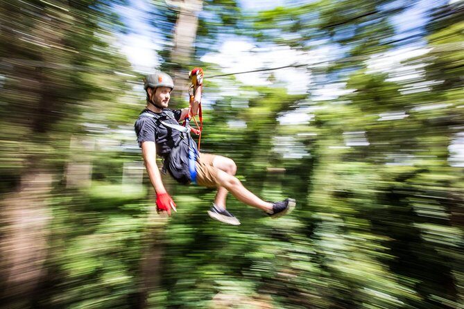 Sunshine Coast Adventure Park TreeTop Challenge - What to Expect at the TreeTop Challenge