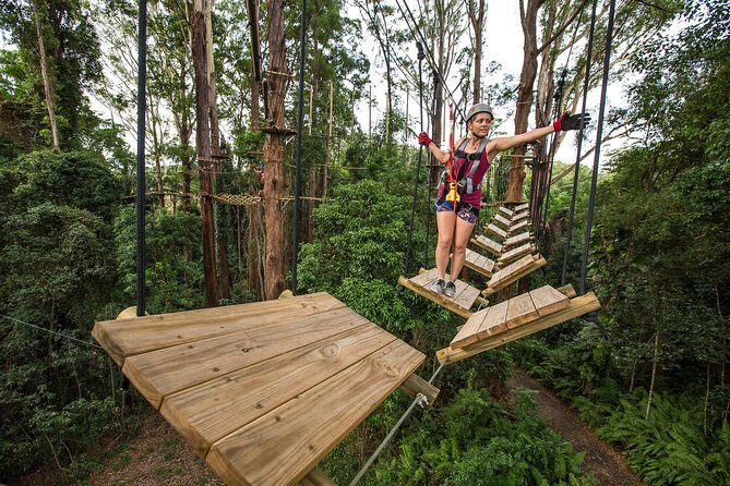 Sunshine Coast Adventure Park TreeTop Challenge - Practical Details