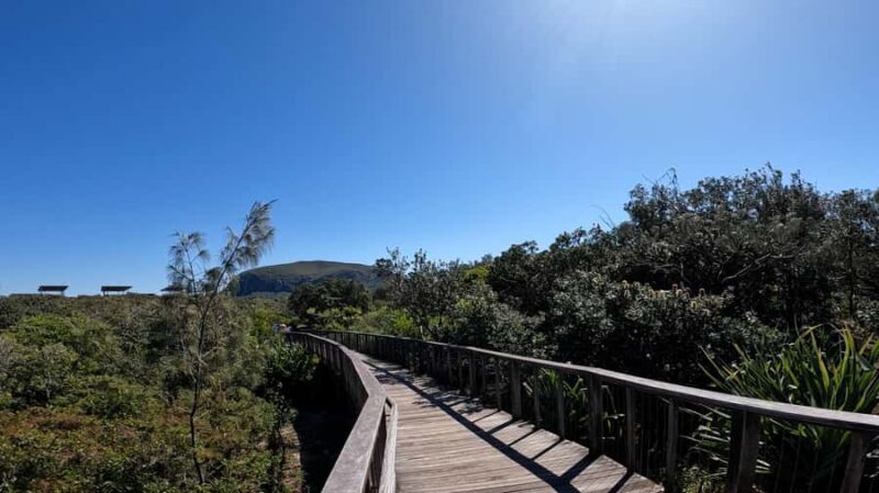 Sunshine Coast: Easy Peasy Novotel North E-Bike Tour - An Honest Look at the Sunshine Coast E-Bike Tour