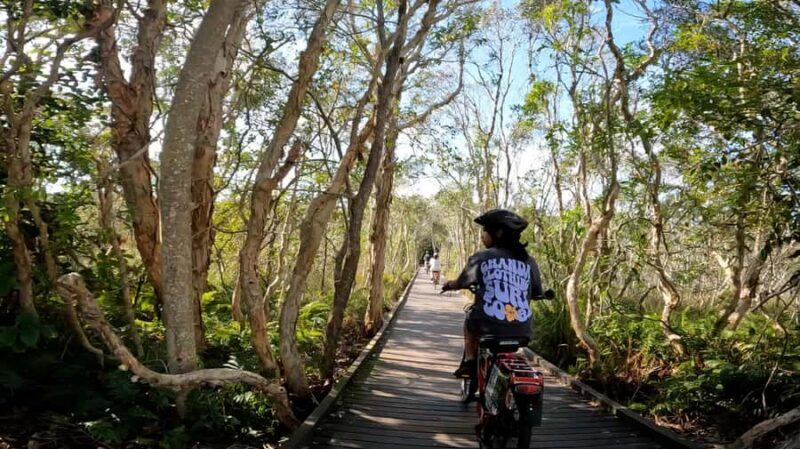 Sunshine Coast: Easy Peasy Novotel North E-Bike Tour - What Makes this Tour Stand Out