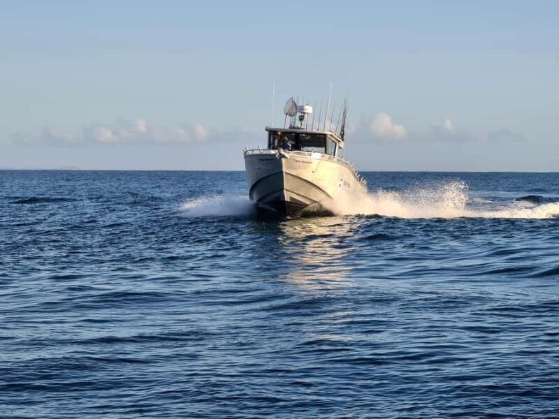 Sunshine Coast: Fishing Charters - The Value Proposition