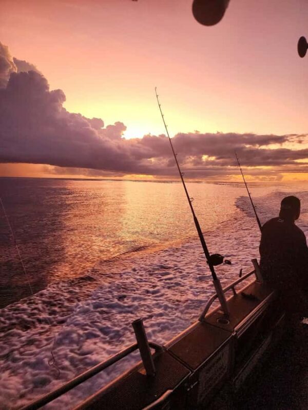Sunshine Coast: Fishing Charters - Who Should Consider This Tour?